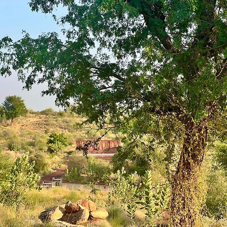 Kaner Retreat - India'S First Desert Botanical Resort Shaitrawa Ngoại thất bức ảnh