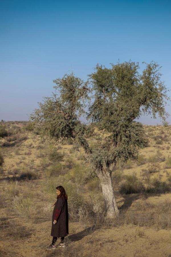 Kaner Retreat - India'S First Desert Botanical Resort Shaitrawa Ngoại thất bức ảnh