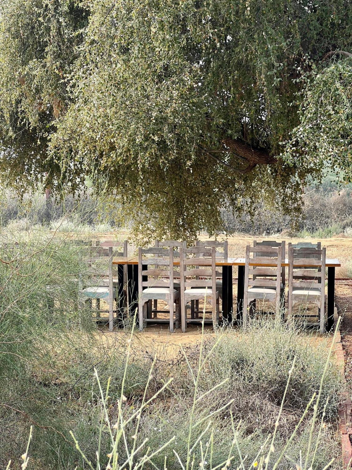 Kaner Retreat - India'S First Desert Botanical Resort Shaitrawa Ngoại thất bức ảnh