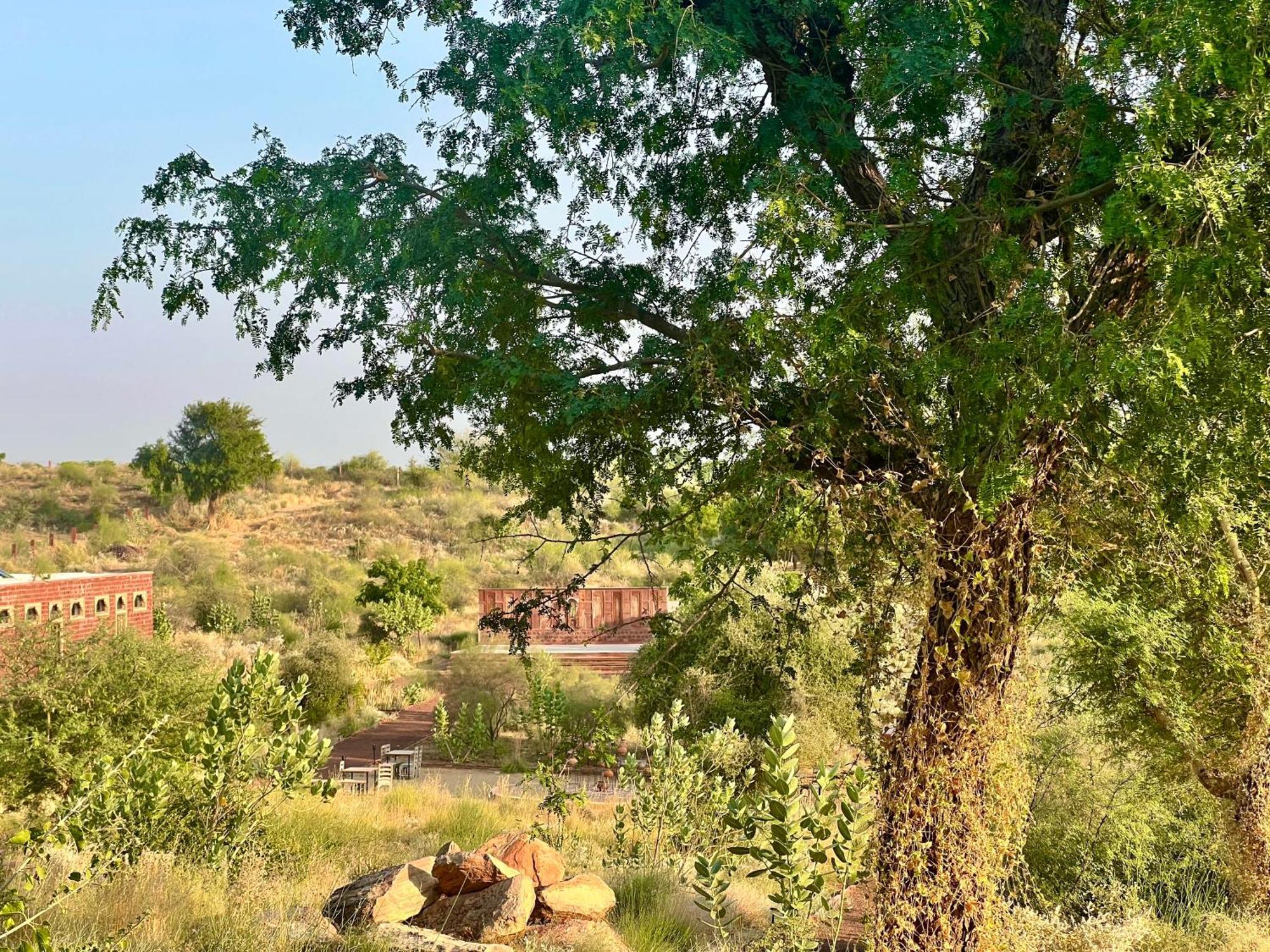 Kaner Retreat - India'S First Desert Botanical Resort Shaitrawa Ngoại thất bức ảnh